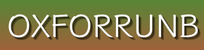 OxforrUnb – Discover Trendy Sneakers, Cushioned Trainers & Premium Leather Shoes for Every Occasion